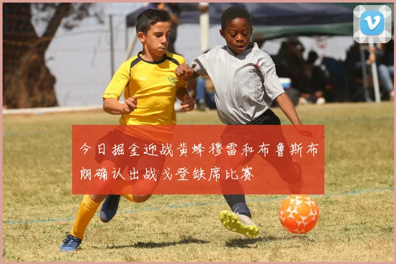 今日掘金迎战黄蜂穆雷和布鲁斯布朗确认出战戈登缺席比赛