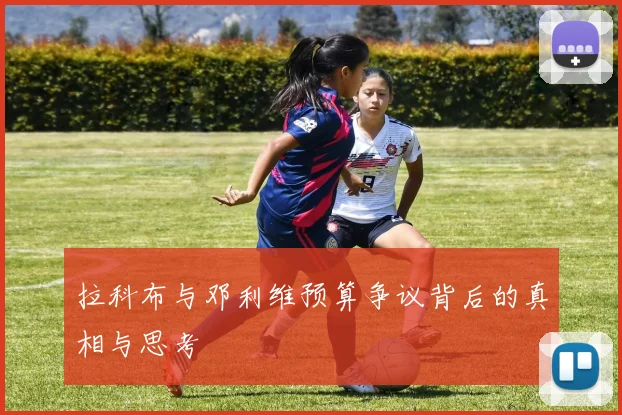 拉科布与邓利维预算争议背后的真相与思考