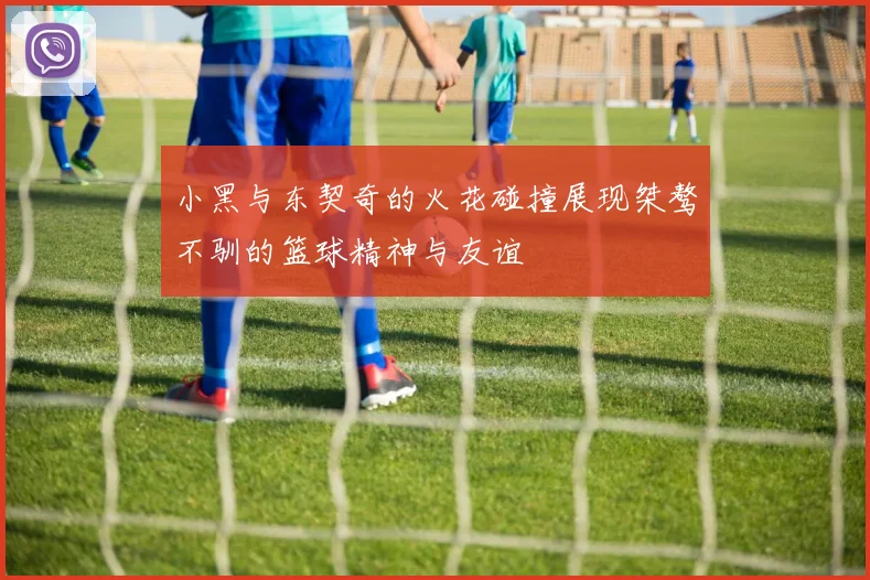 小黑与东契奇的火花碰撞展现桀骜不驯的篮球精神与友谊