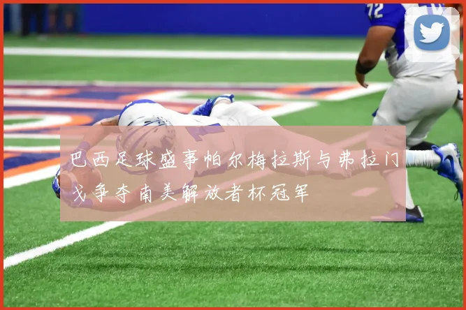 巴西足球盛事帕尔梅拉斯与弗拉门戈争夺南美解放者杯冠军