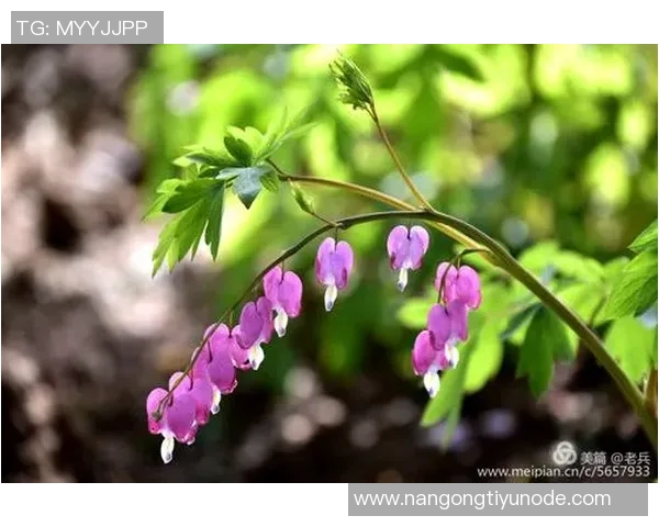 金特罗：我心中的河床如同皇家马德里南美足球赋予我无限可能