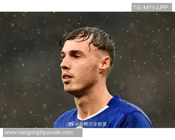 帕尔默因腹股沟伤势缺阵至11月将缺席至少四场重要比赛